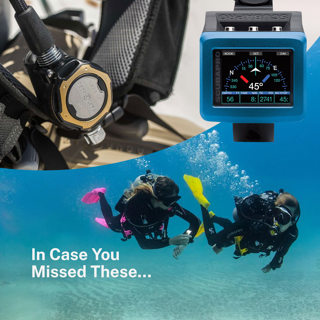 Our latest arrivals are in-stock and ready ship!

Check out these products and more!
bit.ly/3ZQGAR6