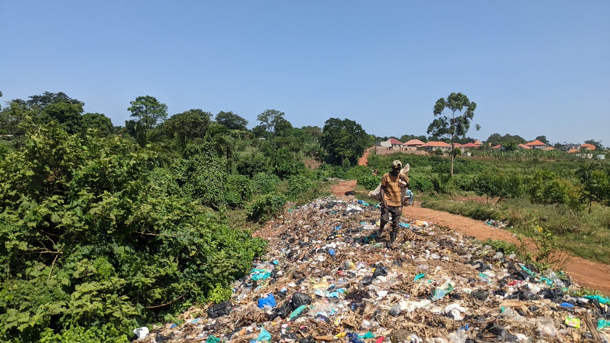 SadrachNirere's tweet photo. Images of the Nansana - Wamala wetland that has been turned into a dumping site.
By degrading our wetlands, we damage our water systems, increase floods, risk spreading of diseases and reduce resilience to the climate crisis.
#EndPlasticPollution https://t.co/8mBAwlMlMp