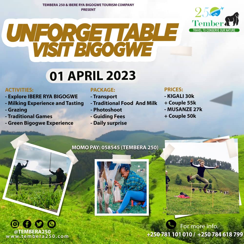 Tembera250's tweet photo. 01-04-2023:
Going in BIGOGWE is like going home, always say yes to new adventures &amp; meet different peoples with different ideas.
 
 @Visit_Bigogwe Kwa @Ngabo_Karegeya wari wahagera, waba waranyweye amata yaho, ese uheruka kurya ibiryo gakondo?
Retweet n'abandi ntibazasigare https://t.co/4y5Wgi9rBU
