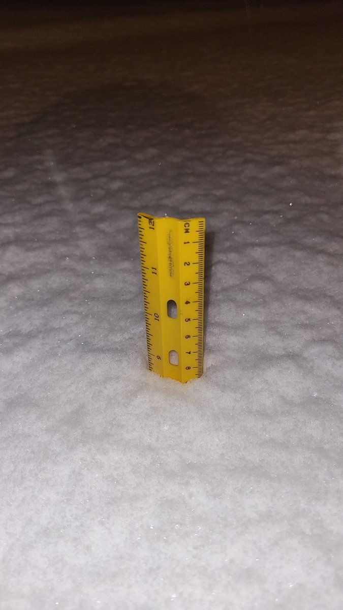 Susan Tarallo tweet media