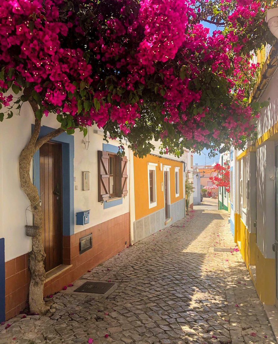 lifeinportugal's tweet photo. #Ferragudo #strand #klippe
#Portugal #SVT #aftonbladet #expressen #berlingske #DR1 #NRK #aftenposten #svenska #svensk #GöteborgsPosten #DagensNyheter #SvenskaDagbladet
#SydsvenskaDagbladet #norgesbank #reise #Sverige #Norge #Danmark #fastighet #eiendom #kiinteistot #loma https://t.co/xhKPPuPg1y
