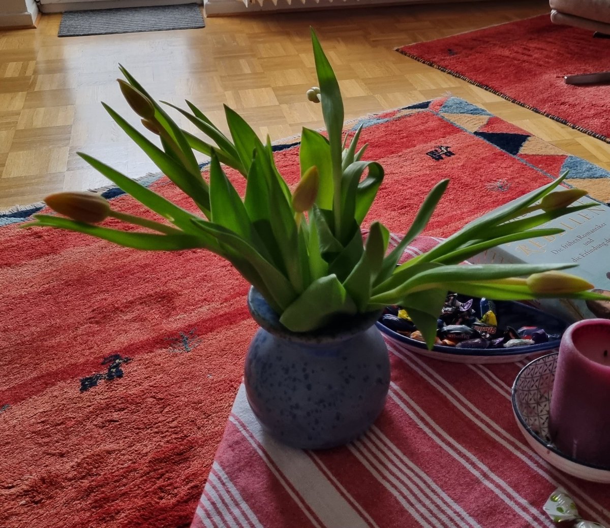 Tulpen haben ihren
eigenen Kopf. 
Sie stehen nie so,
wie man es möchte 😉