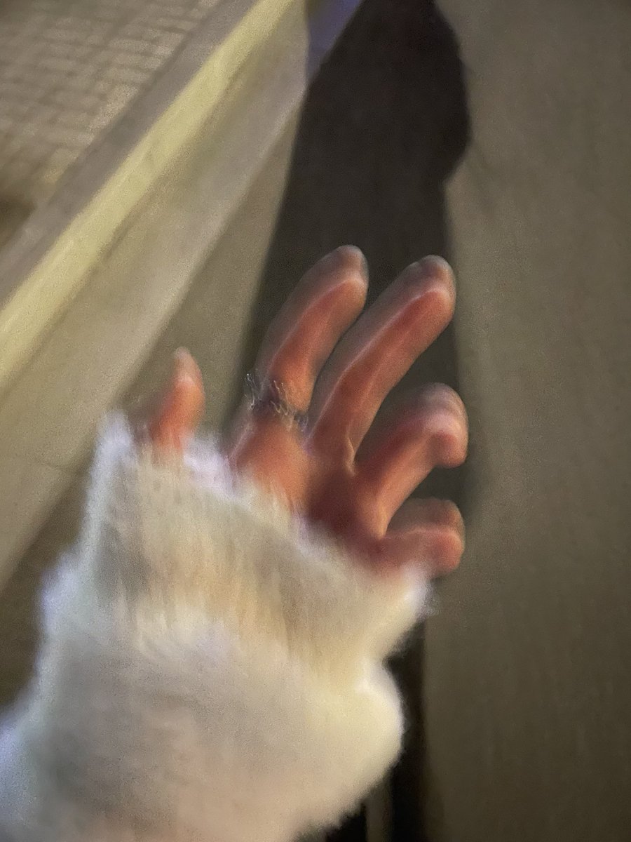 我说这个手比你们S的手好看没意见吧！
哼！ https://t.co/9caD5wdErO