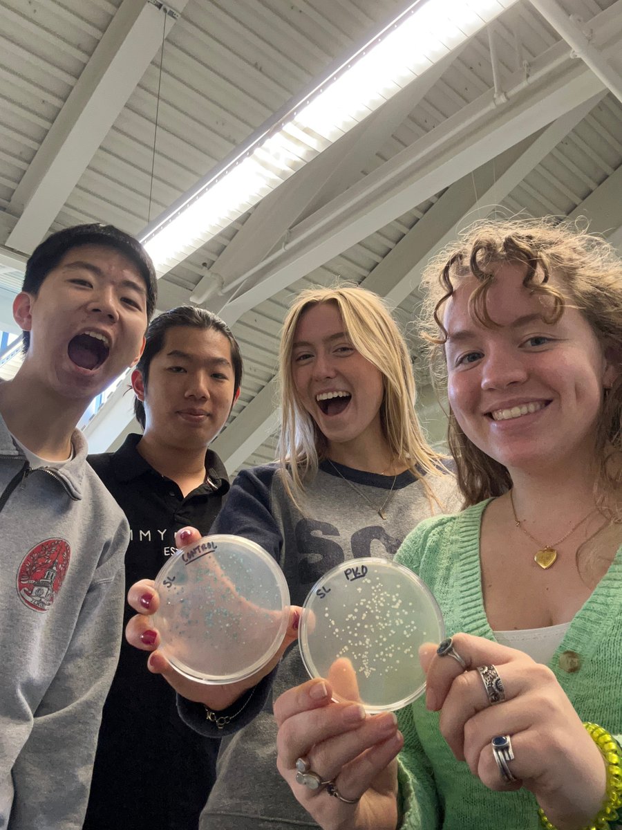 scott stein tweet media