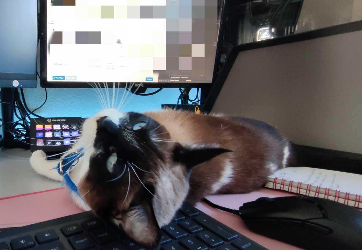 SanlarisMusic's tweet image. Muchos muestran su teletrabajo placentero al Sol ☀️ o en la playa 🏖️

Mi decisión de teletrabajo fue siempre ellos 😺🐾

#teletrabajo #girlDeveloper #frontendWithCats