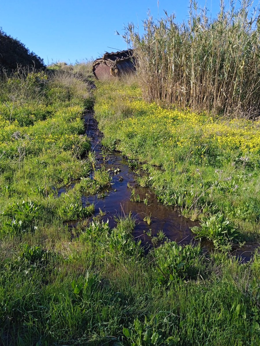 AndaLimpia's tweet photo. Nos acaban de comunicar de Gruprona que ha localizado al autor de estos vertidos que denunciamos ayer. Ahora falta retirar estos vertidos de alquitrán de la Naturaleza lo antes posible. Muchas gracias a este grupo de profesionales por su gran labor. https://t.co/4dqWYDAdxS