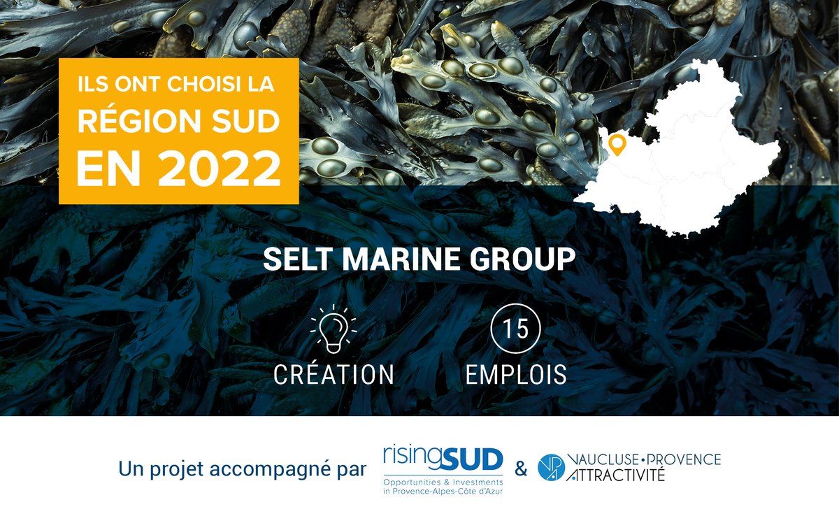 📍<a href="/GroupSelt/">SELT Marine Group</a> a choisi la région Sud en 2022❗️

🔗Elle a été accompagné par la Team France Invest Sud et notamment <a href="/businessfrance/">Business France</a>, la <a href="/MaRegionSud/">Région Sud</a>, @84Developpement &amp; <a href="/risingSUD/">risingSUD</a>.

🎯La région Sud : terre privilégiée des investisseurs étrangers : risingsud.fr/wp-content/upl…
