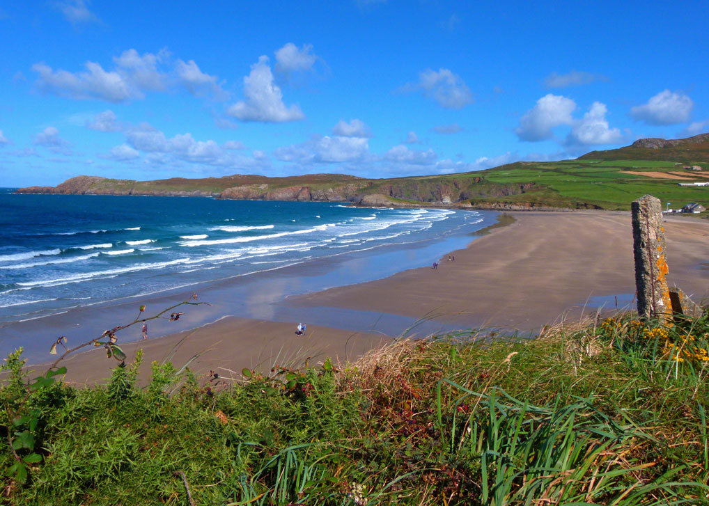 bitaboutbritain's tweet photo. Named for the black sand, Whitesands Bay #Pembrokeshire is beautiful, popular with surfers, canoeists and body-boarders. At very low tides, the remains of a drowned ancient forest have been seen. #Wales 🏴󠁧󠁢󠁷󠁬󠁳󠁿 https://t.co/ZlwYqg9yUr