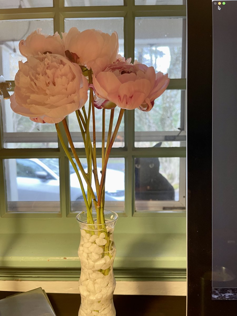 Amberley Felter tweet media