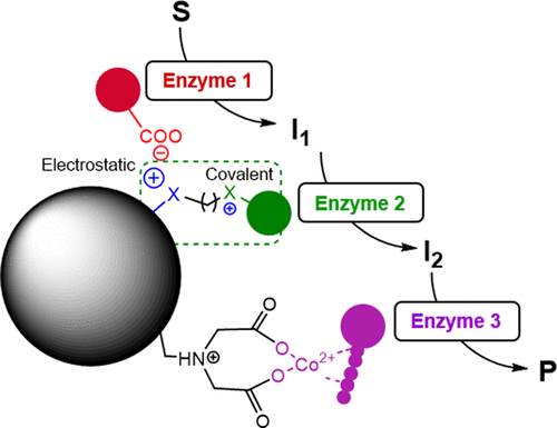 CICbiomaGUNE's tweet photo. 📢Research Highlights: #Multienzyme Coimmobilization on Triheterofunctional Supports
👉https://t.co/AtrMVcmM7T
@brta_eus @Ikerbasque @unizar @HetBiocat #Aldehydes #Organicpolymers #peptides https://t.co/mAcBfNrsye