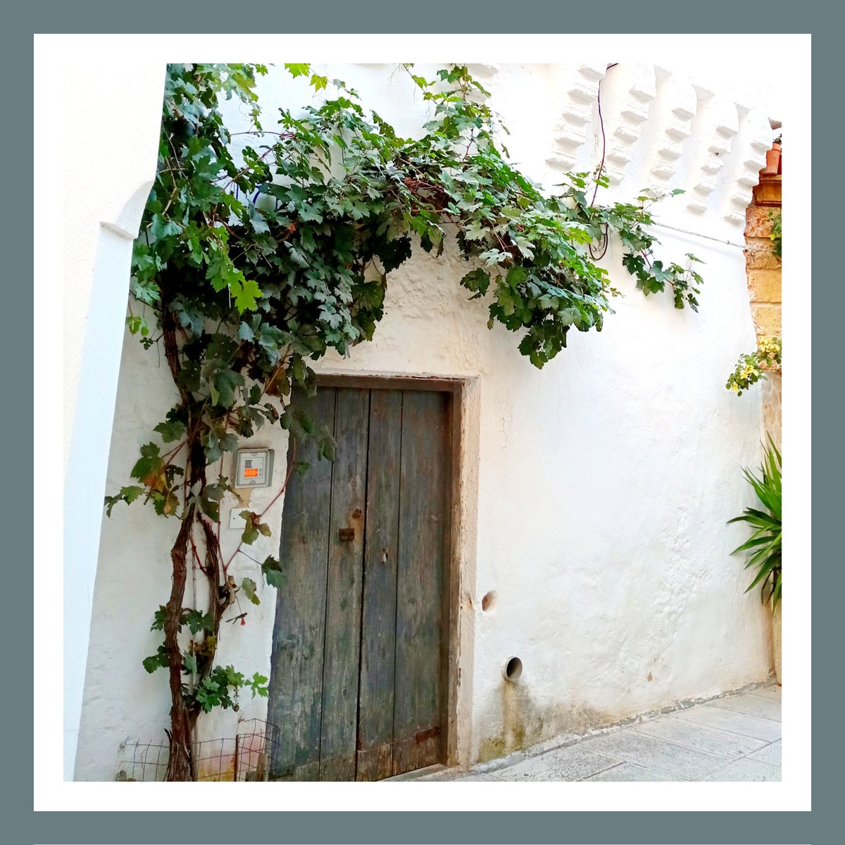 bmasseriadell1's tweet photo. Quartiere ebraico di Alessano #alessano #quartiere #ebraico #borghi #antichi #suditalia #puglia https://t.co/ECI6sSJP2H