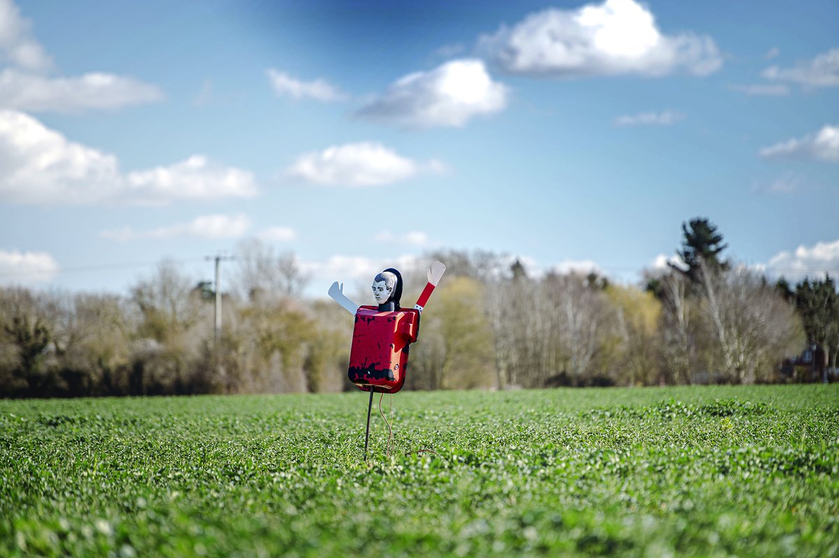 Andy Morgan tweet media