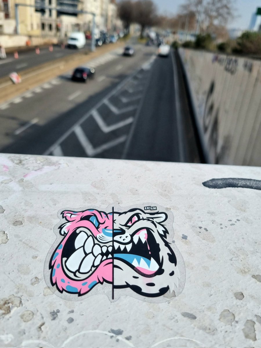 New stickers.
#stickers #ekiem #tougui #lyon