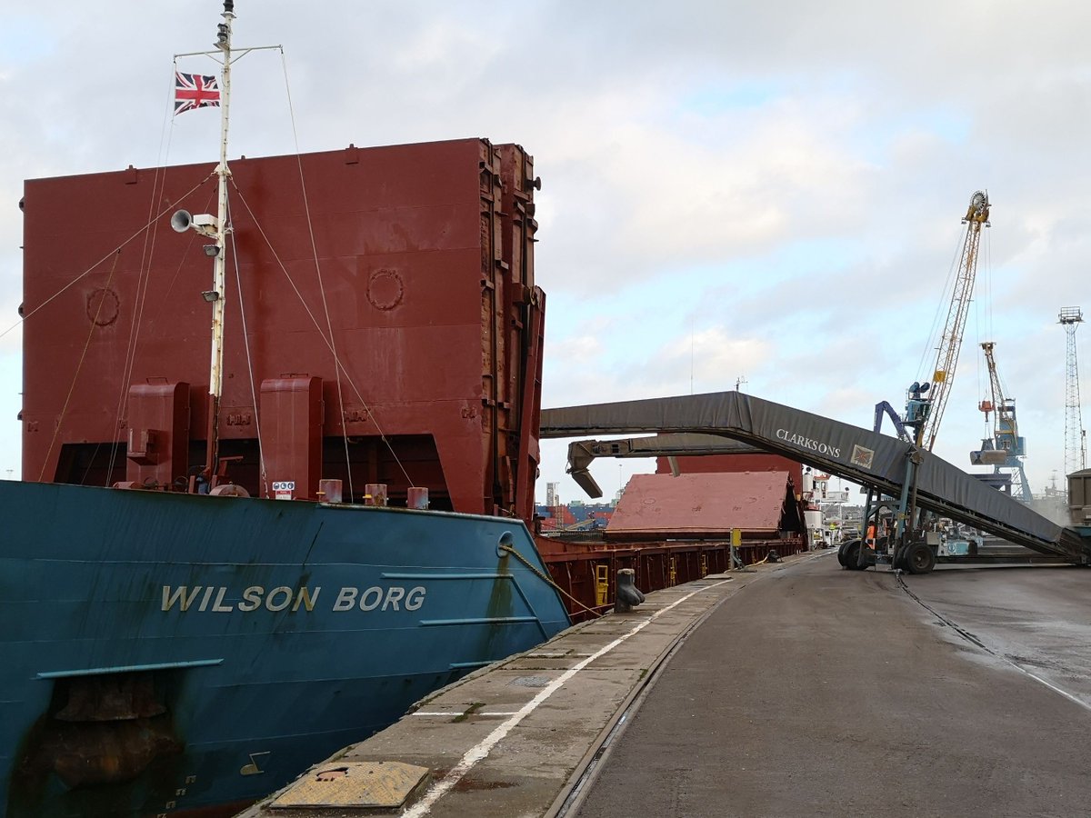 2,600 MT of #Oats from United Oilseeds growers across the UK are loading onto the MV Wilson Borg at Ipswich this a.m, for export to the EU <a href="/BeckiiGibbs/">Beckii Gibbs</a> <a href="/Tula205/">James  Hood</a> <a href="/holly_gourley/">Holly Gourley</a> <a href="/BeckyBeesley1/">Becky Beesley</a> @AaronCantrill1 <a href="/jogunes1/">@JoGunes</a> <a href="/owencuos/">Owen Cligg</a> <a href="/Aland1978/">Alan Davies</a> <a href="/BeckyCrocombe/">Becky Crocombe</a> <a href="/McGregorFarms/">McGregor Farms</a> #breakcrops