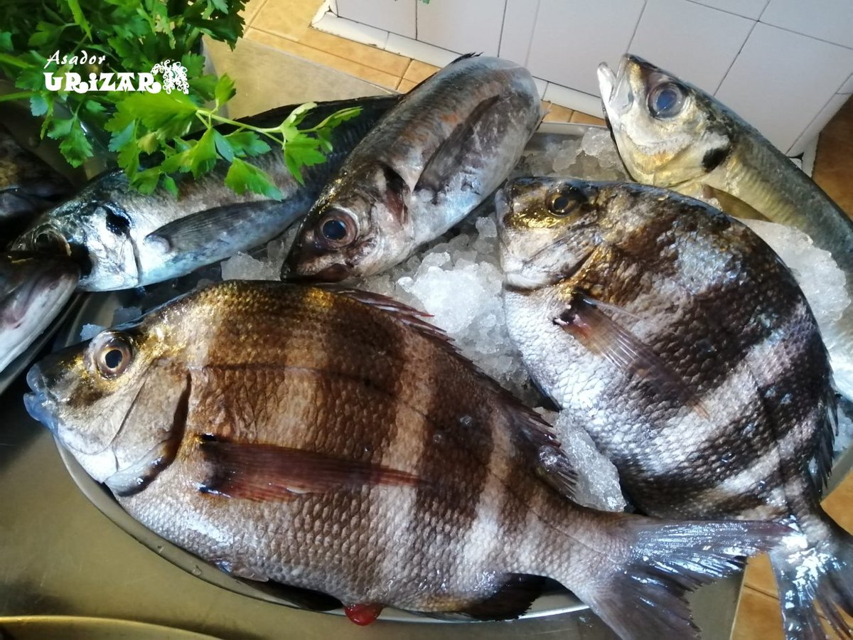 Mojarras, lubinas, txitxarro... 🤗

Pescadito fresco, del mar a nuestro asador. 🍴

¡Conoce nuestras opciones de pescado! ➡️  i.mtr.cool/nonfbtmrco

#PescadoaLaBrasa #Lemoiz #cervecera