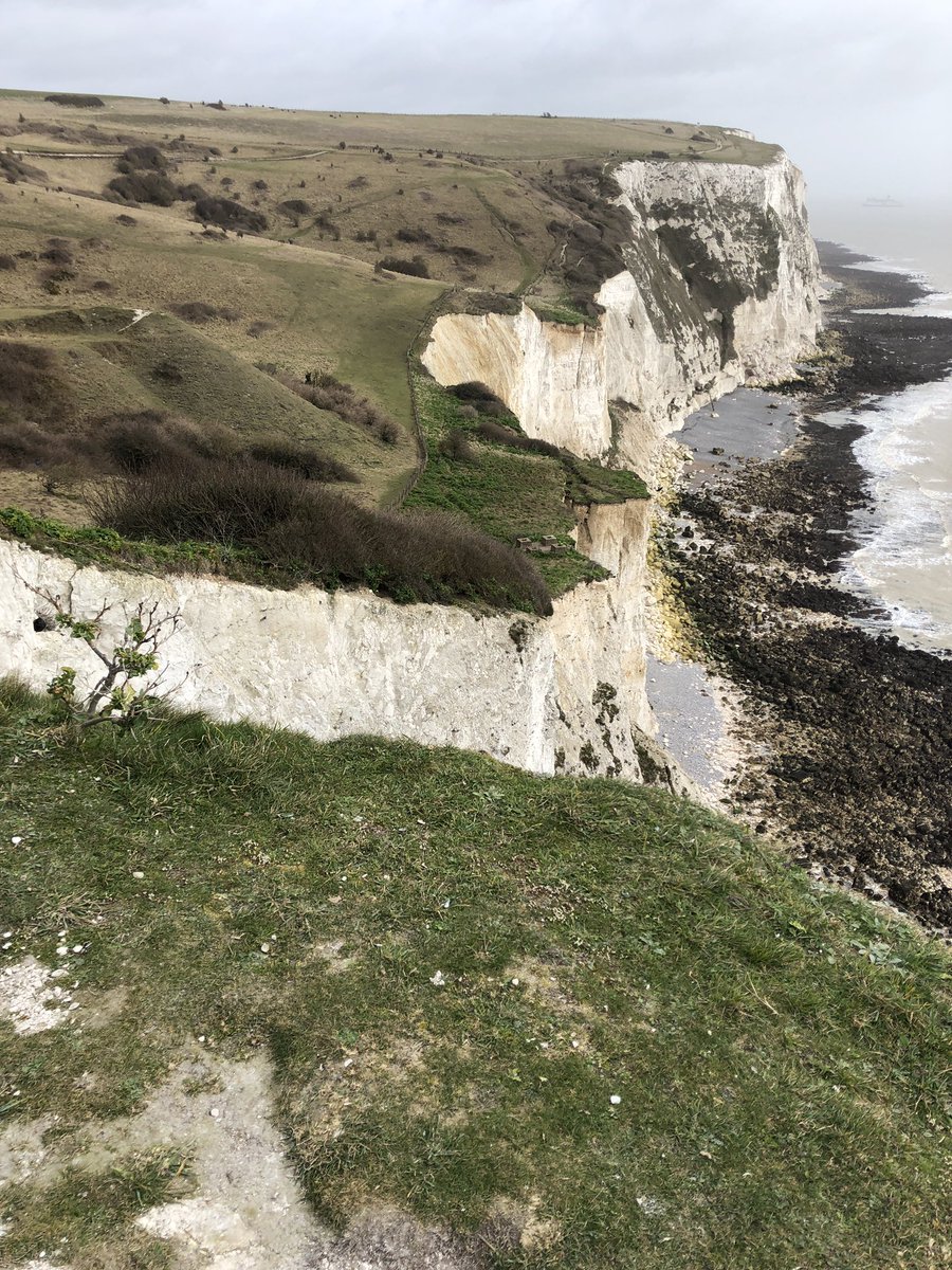 Jamie Partridge tweet media