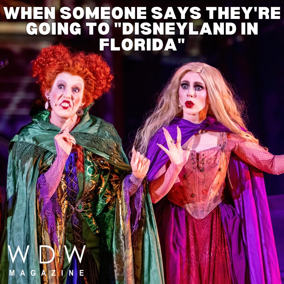 WDW Magazine tweet media