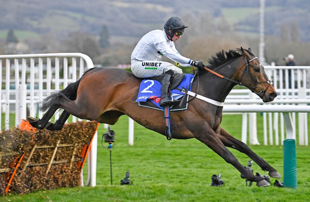 🚨 £50 FREE BET GIVEAWAY FOR #CheltenhamFestival 🚨

💰 If #ConstitutionHill wins the Champion Hurdle we will give away a £50 free bet to one lucky follower. 

✅ Simply RT and ❤️ to enter 
🔞 Must be following <a href="/mylittletip/">My Little Tip</a> , winner announced tomorrow if successful