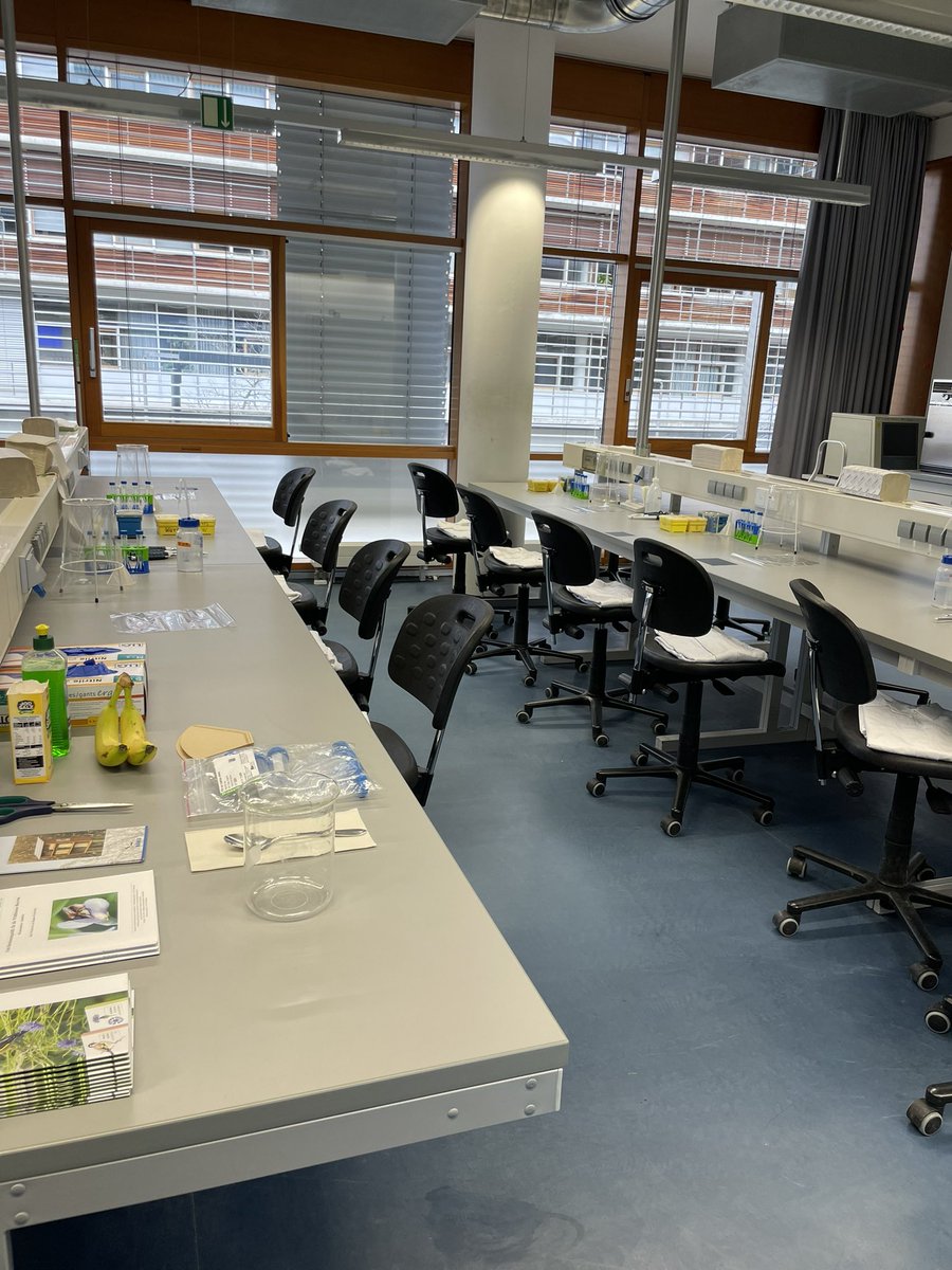 Nocalbito's tweet photo. Let’s go! School student practical to isolate DNA from banana 🧬 https://t.co/tYHAdtY5vu
