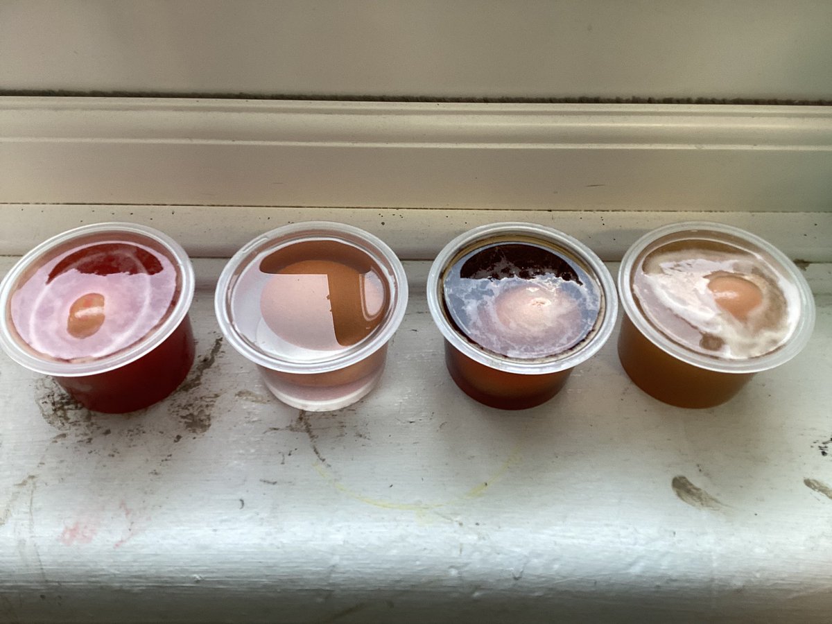 MayflowerSch's tweet photo. #Scienceweek! #Rousseau did the egg and vinegar experiment! What do you predict? #LKS2 #Observingovertime https://t.co/9sPhfBfiK3