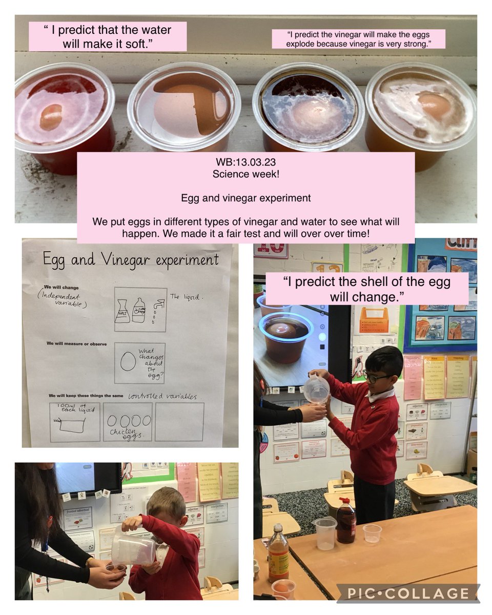 MayflowerSch's tweet photo. #Scienceweek! #Rousseau did the egg and vinegar experiment! What do you predict? #LKS2 #Observingovertime https://t.co/9sPhfBfiK3