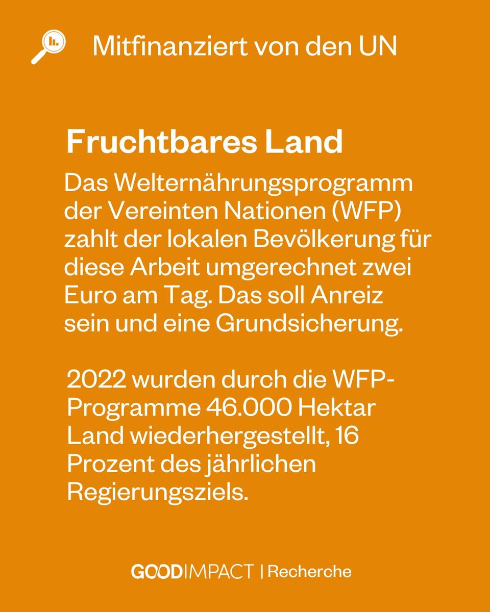Die sandigen Böden im #Niger leiden unter Dürren. Doch die Menschen in dem westafrikanischen Staat tun etwas dagegen: Sie graben Sicheln. Unsere Autorin hat vor Ort dazu recherchiert, wie Halbmonde gegen die #Klimakrise helfen könnten. 
goodimpact.eu/recherche/repo…
------------