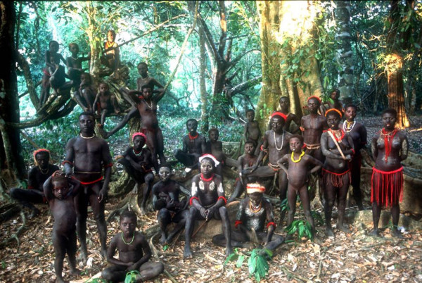 ndia has a Adivasi Indigenous President but they don't know what the govt. is doing with their community. Will the president ban this project...?
#SaveForestSaveTribals
#कैलाश_मेघवाल_भड़वा_है
#JusticeforPrithviBairwa
<a href="/MediaRN_ANI/">Lt. Governor's Secretariat-Media Cell, A&N Islands</a> <a href="/Andaman_Admin/">Andaman and Nicobar Admn</a>
<a href="/FFFIndia/">Fridays For Future India</a> <a href="/UN4Indigenous/">UNPFII</a>