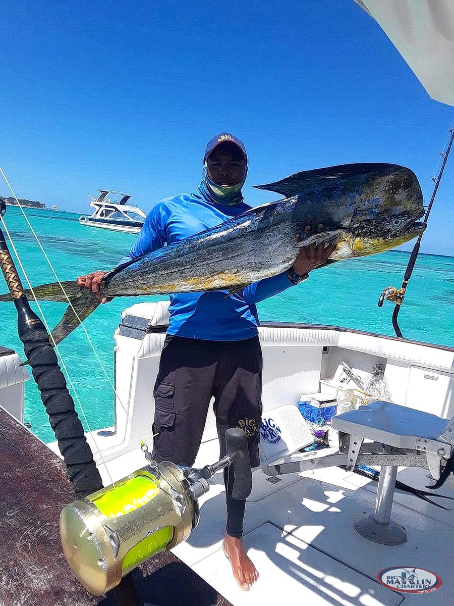 bigmarlinchart's tweet photo. Fantastic fishing trip on the boat "Fortuna" 42 ' #barcelopuntacana #paradisuspuntacana #meliapuntacanabeach #excellenceelcarmen #excellencepuntacana #breathlesspuntacana #dreamspalmbeach #palladiumpuntacana #royaltonpuntacana #dreamsmacaobeachpuntacana 
#riurepublicapuntacana https://t.co/YvA9aFhV7C
