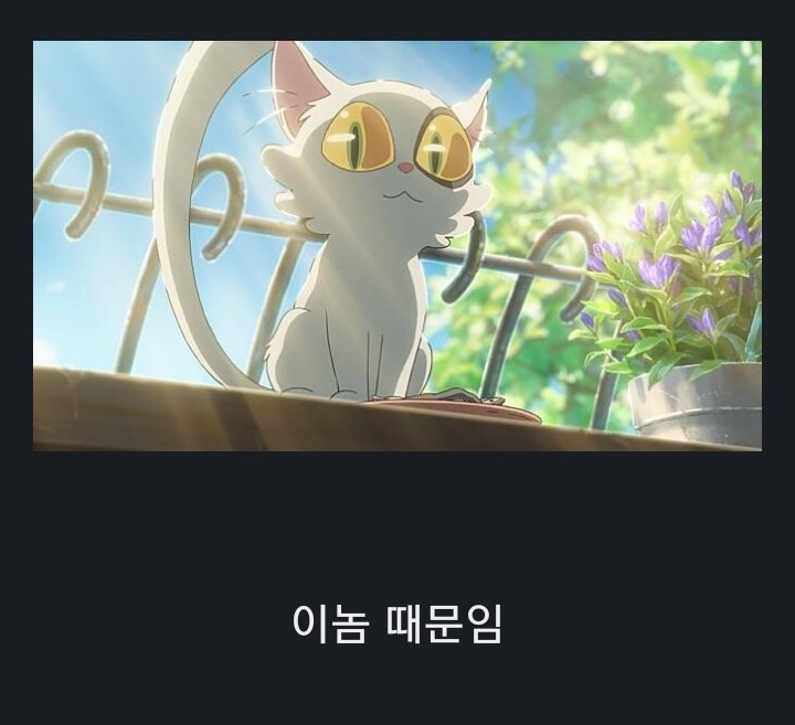 dongpang_52's tweet photo. 헐 스즈메의 문단속에 나오는 인물들이 상대적으로 신카이 치고는 말랑하다 생각했는데 이유가 있었구나...ㅠㅠㅠ 다이진이 결국은 스즈메를 지켜주고 있었던거임...ㅠㅠㅠ아 다이진~!!!!ㅠㅠㅠㅠ!!!!!!역시 고양이는 천사야ㅠㅠㅠ https://t.co/dt6hu6Hvpb