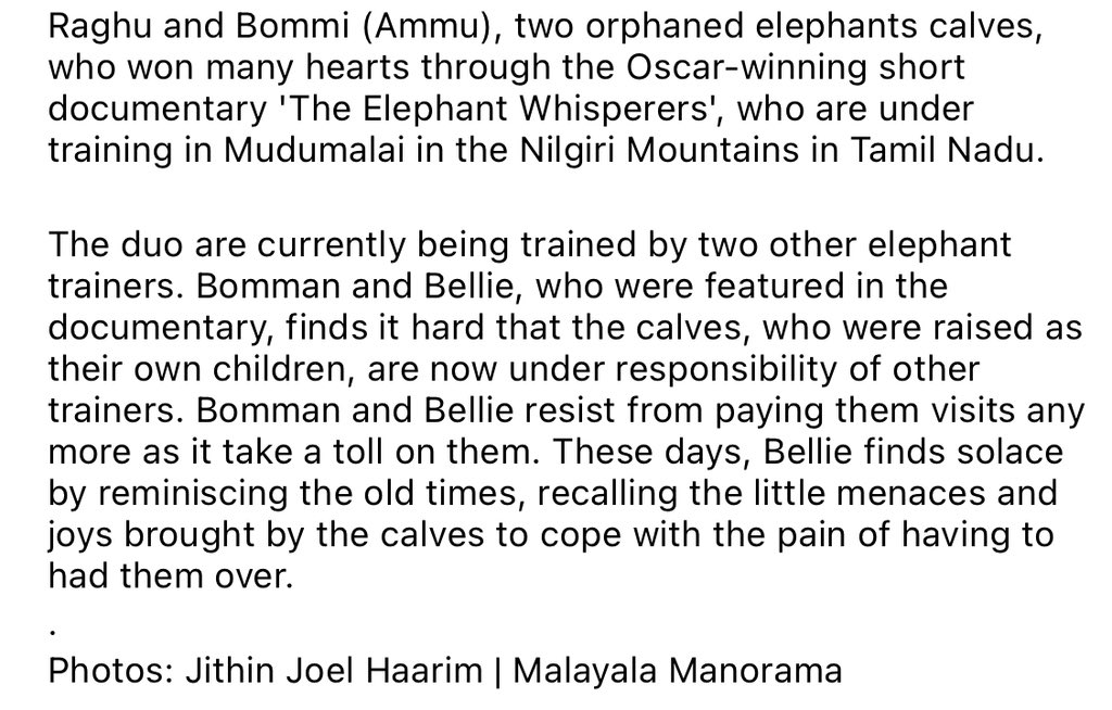 Jithin Joel Haarim tweet media