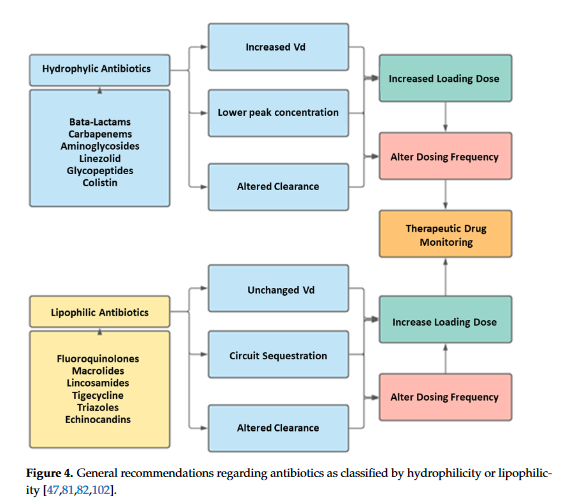 Alba Pau tweet media