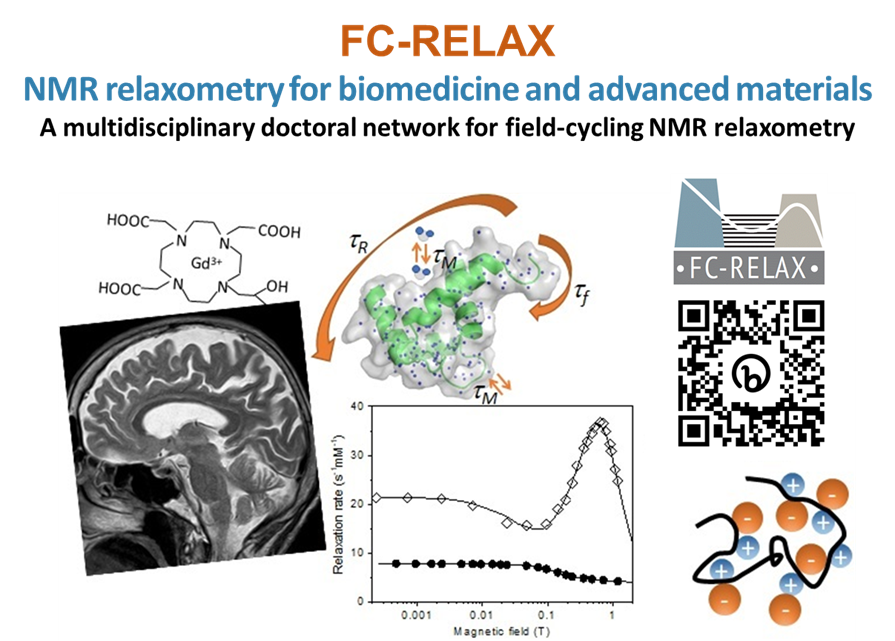 📢 Are you a young researcher interested in #NMR?
Are you considering applying for a #MSCA Doctoral Fellowship?

We look for 11 motivated candidates for the newly funded FC-Relax Doctoral Network!

For details:  bit.ly/fcrelax
Please RT!

<a href="/MSCActions/">Marie Skłodowska-Curie Actions</a>

<a href="/UNI_FIRENZE/">Università di Firenze</a>