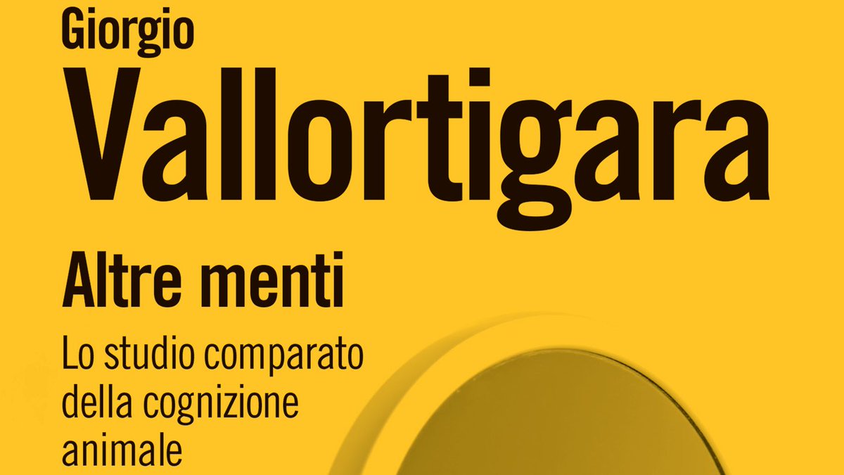 edizionimulino's tweet photo. Quella in corso è la Settimana Mondiale del Cervello (#BrainAwarenessWeek). E quindi diamo qualche consiglio di lettura a chi fra voi voglia capire meglio come funziona il pensiero. 

(1/3) https://t.co/tNLOVV4UXN