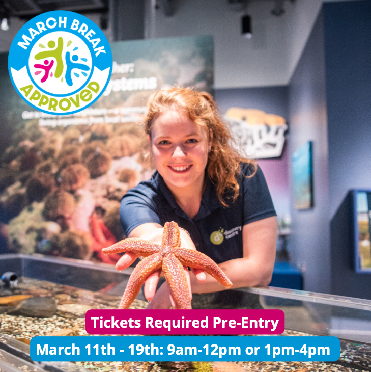 DiscoveryCntr's tweet photo. March Break plans? We got them! Book in at Discovery Centre. Meet local sea anemones 🐚, build a dinosaur and explore fossils. Book your tickets in advance, 9am - 12pm or 1pm-4pm: https://t.co/aUxiyQ4Nkn https://t.co/DXWbSRSRzM