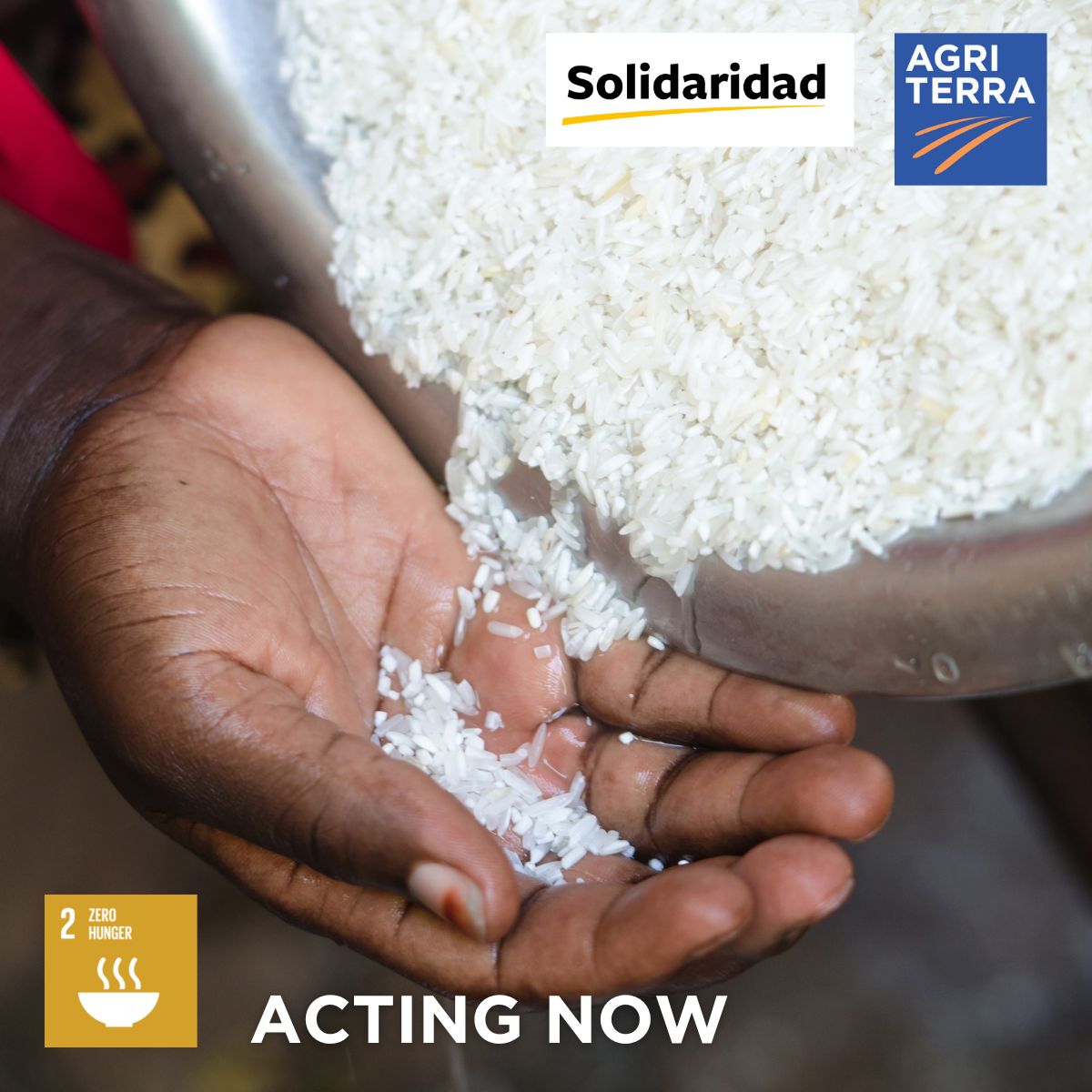 We are excited to share the launch of our new programme ACTING NOW together with our partner @Solidaridad! With this programme financed by <a href="/MinBZ/">Ministerie van Buitenlandse Zaken</a> , we strive to contribute to improved #foodsecurity and a more resilient #foodsystem in nine African countries. Stay tuned!