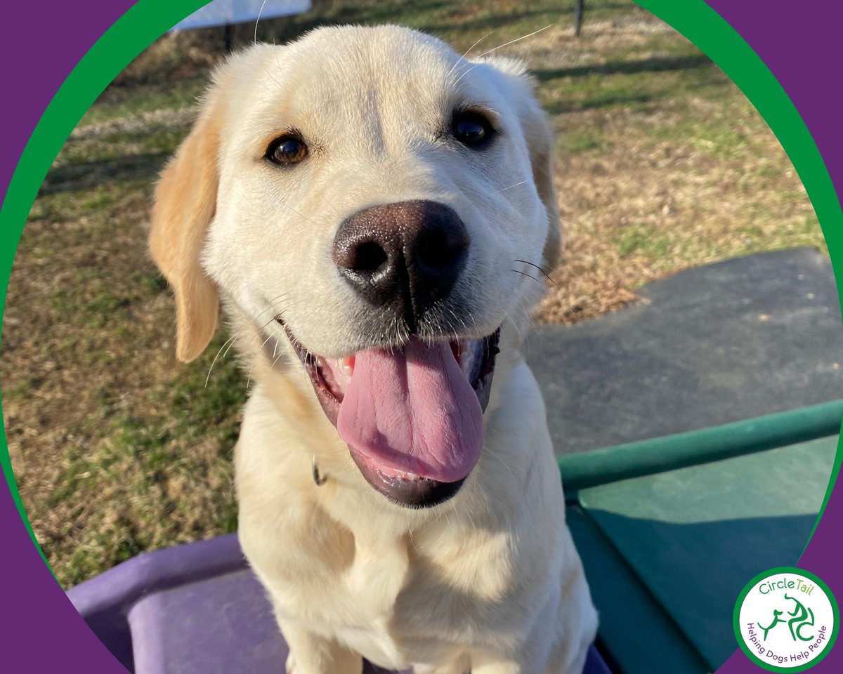 Circle Tail, Inc. tweet media