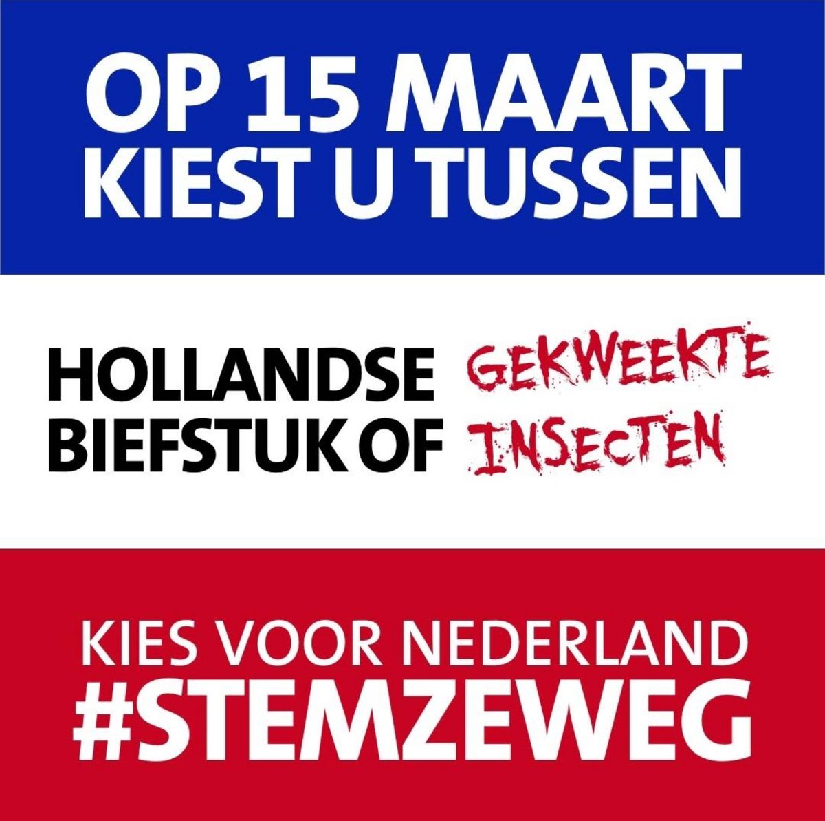 rczanden's tweet photo. @SimoneSays123 @Wim04789402 #LauravanGeest #StemZeWeg https://t.co/CZk3TzPNgr
