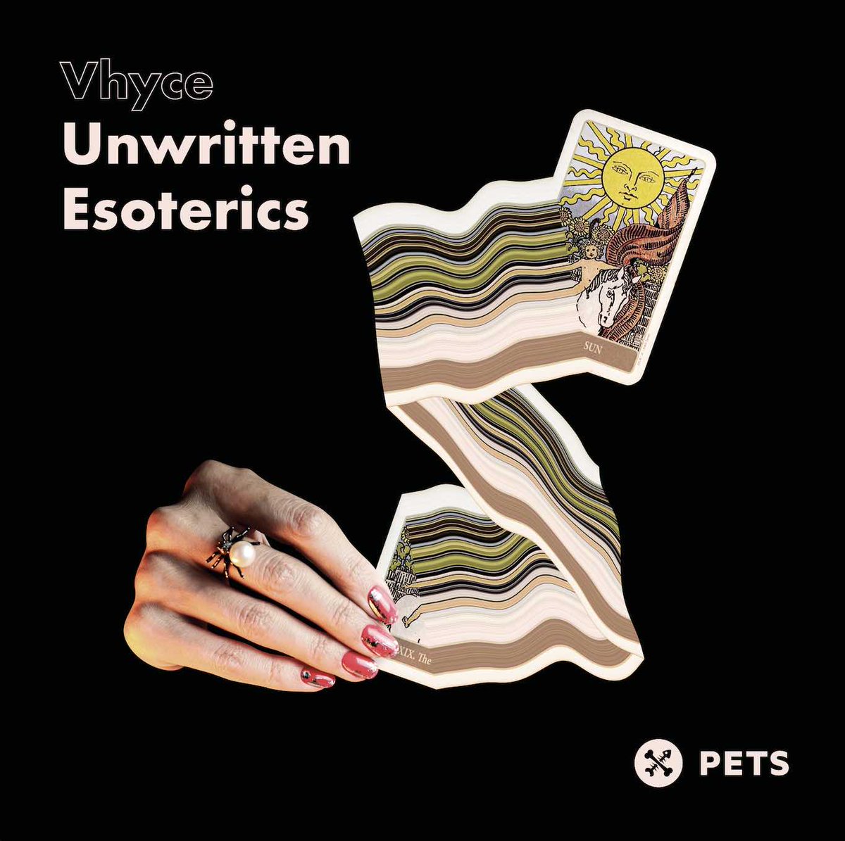 Exclusive Promo tweet media