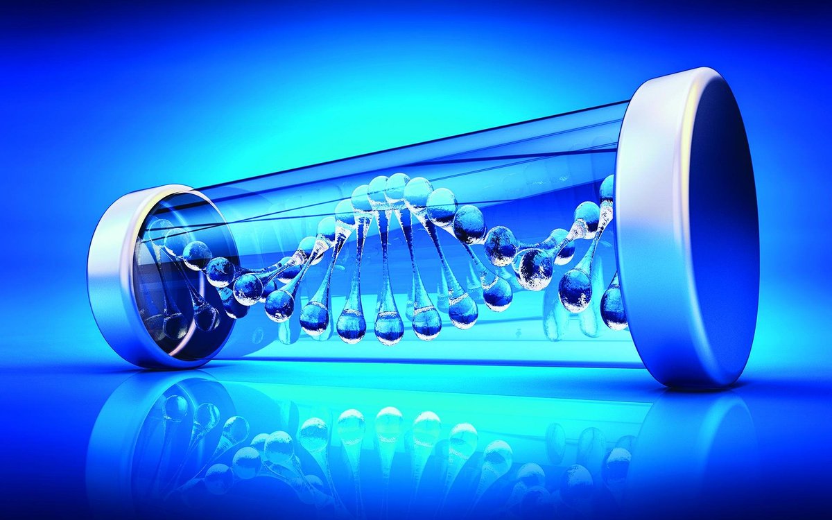 dijith_14's tweet photo. How does your body know how to make you?       
Well, it's all about your genetic instructions or DNA! But to understand DNA, we need to talk about Cooking. (1/12) #genetics #biology #science #education https://t.co/pVchYDanRh