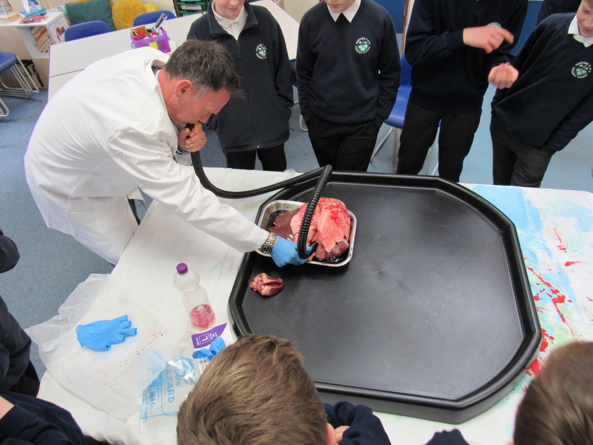 harting_primary's tweet photo. What an exciting morning in Oak class today! As part of @ScienceWeekUK we were lucky enough to be visited by Mr Grute from @Be_HSDC who demonstrated how the heart and lungs work. #hartingprimaryschool #primaryscience #makingsciencereal #bringinglearnigntolife #weloveschool https://t.co/qOYkaa4kw8