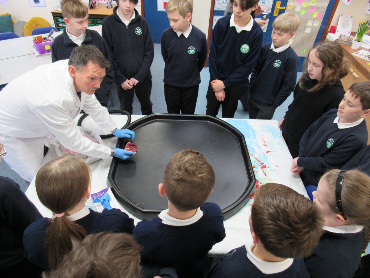 harting_primary's tweet photo. What an exciting morning in Oak class today! As part of @ScienceWeekUK we were lucky enough to be visited by Mr Grute from @Be_HSDC who demonstrated how the heart and lungs work. #hartingprimaryschool #primaryscience #makingsciencereal #bringinglearnigntolife #weloveschool https://t.co/qOYkaa4kw8