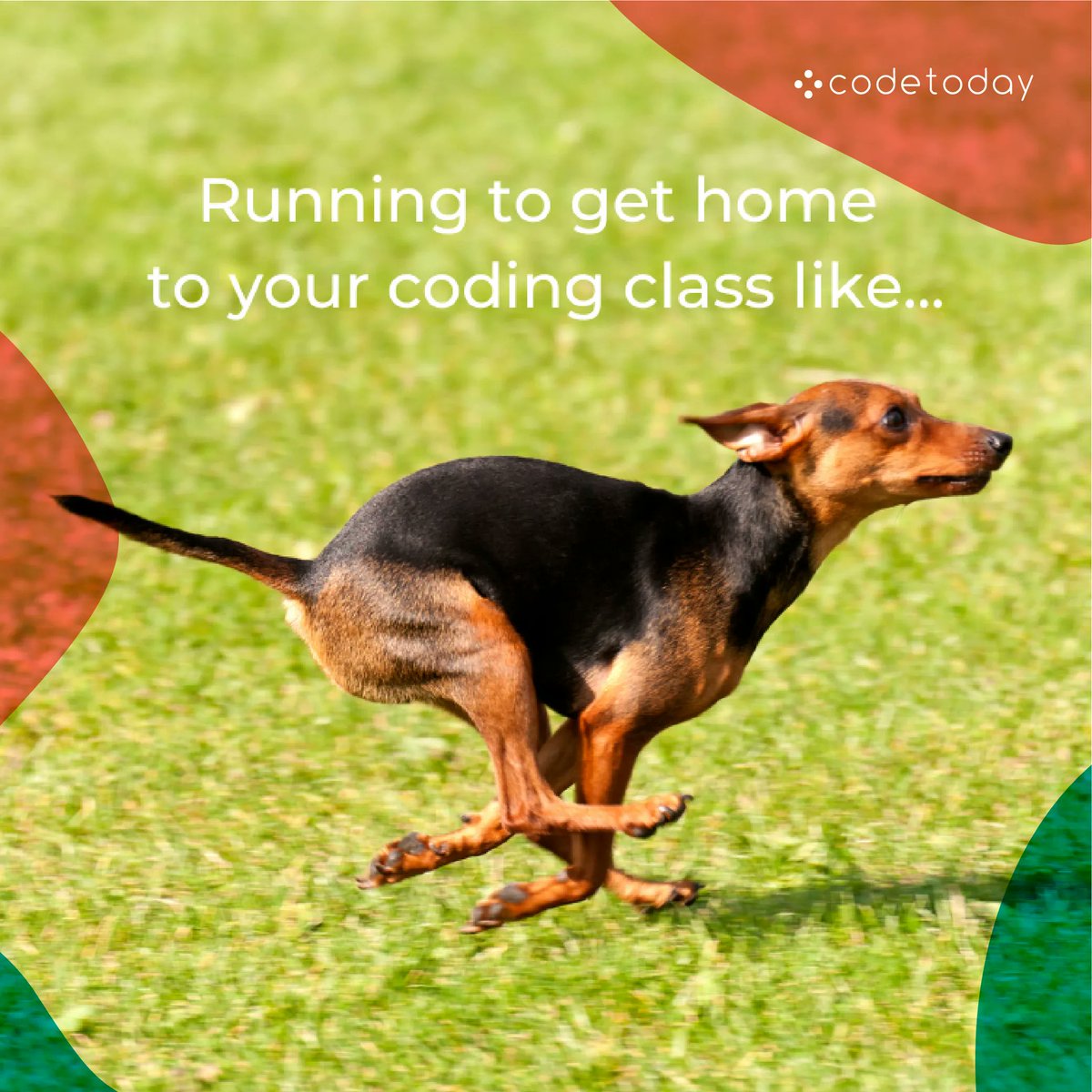codetoday_'s tweet image. 🐶 🐾 🐕 #coding #python #kidscoding #codingforkids #programmingforkids #learnpython #education #programming #learnprogramming #dogs #funny