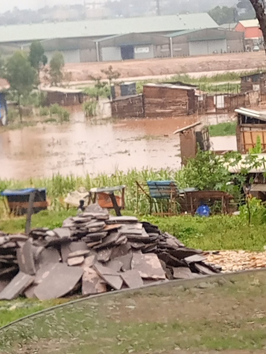 This is Hon. Joel Ssenyonyi's constituency. These people need help. All they survive on is gone.