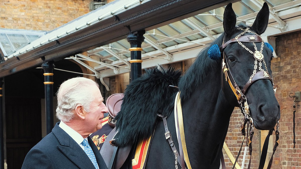 horseandhound's tweet photo. A horse fit for The King, and other things the horse world is talking about https://t.co/XOvaVKOjO4 https://t.co/ju98Z3ZtPF