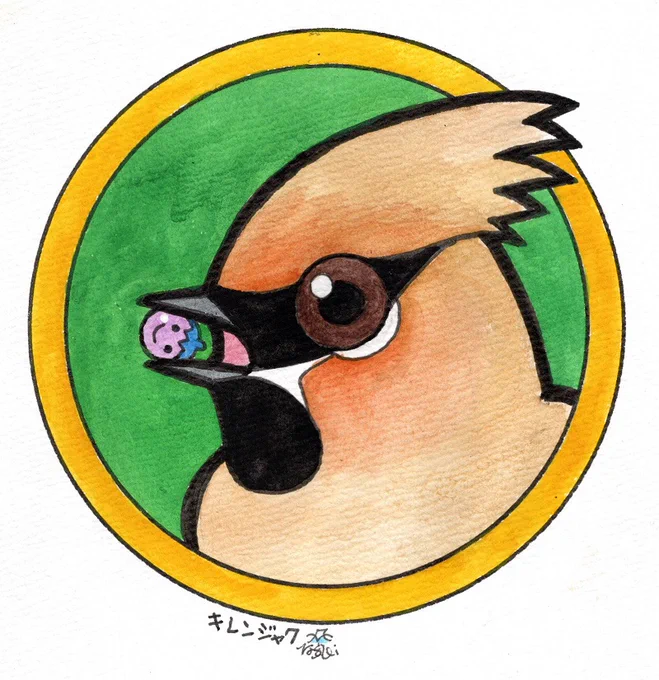 「缶バッジの鳥たち」、今日見てきたキレンジャクを描いてみました。(ヒレンジャクとどこが違うんだ?) 