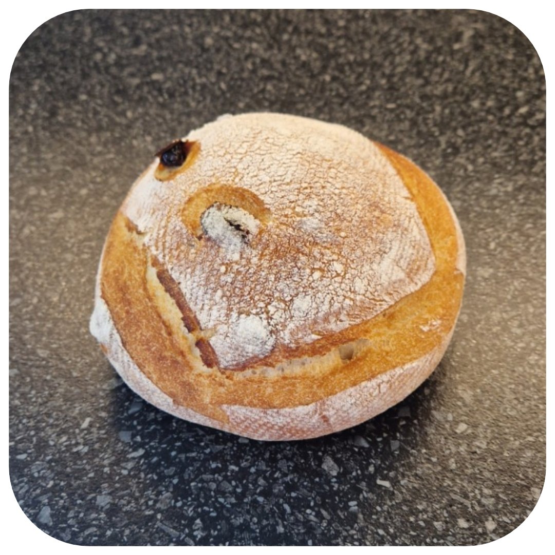 ShanDS14's tweet photo. ^_* Discovering possibilities ~ Red Wine Sourdough with Cranberry 🍞🍷🥰🤩
#Sourdough #Dezgard16 #RedWine #Merlot #Cranberry #AlcoholinBread #FunofBread #MeMyselfI 🍞🍷🥰🤩 https://t.co/w59YNKHaqa