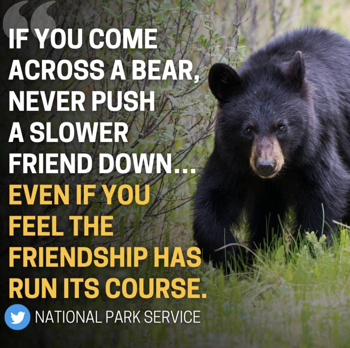 Something to think about as spring approaches.