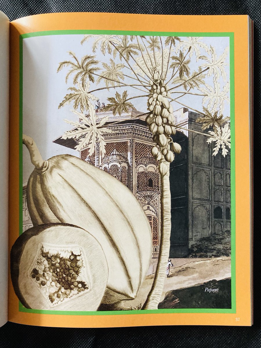 SejalSukhadwala's tweet photo. I wrote about the British origins of curry powder for ⁦⁦@eatenmag⁩ and didn’t know it would be turned into such a sumptuously designed 16-page spread with 17th and 19th century illustrations. Thank you, Emelyn Rude, for commissioning and editing - I’m thrilled with it! https://t.co/qyUgONetw2