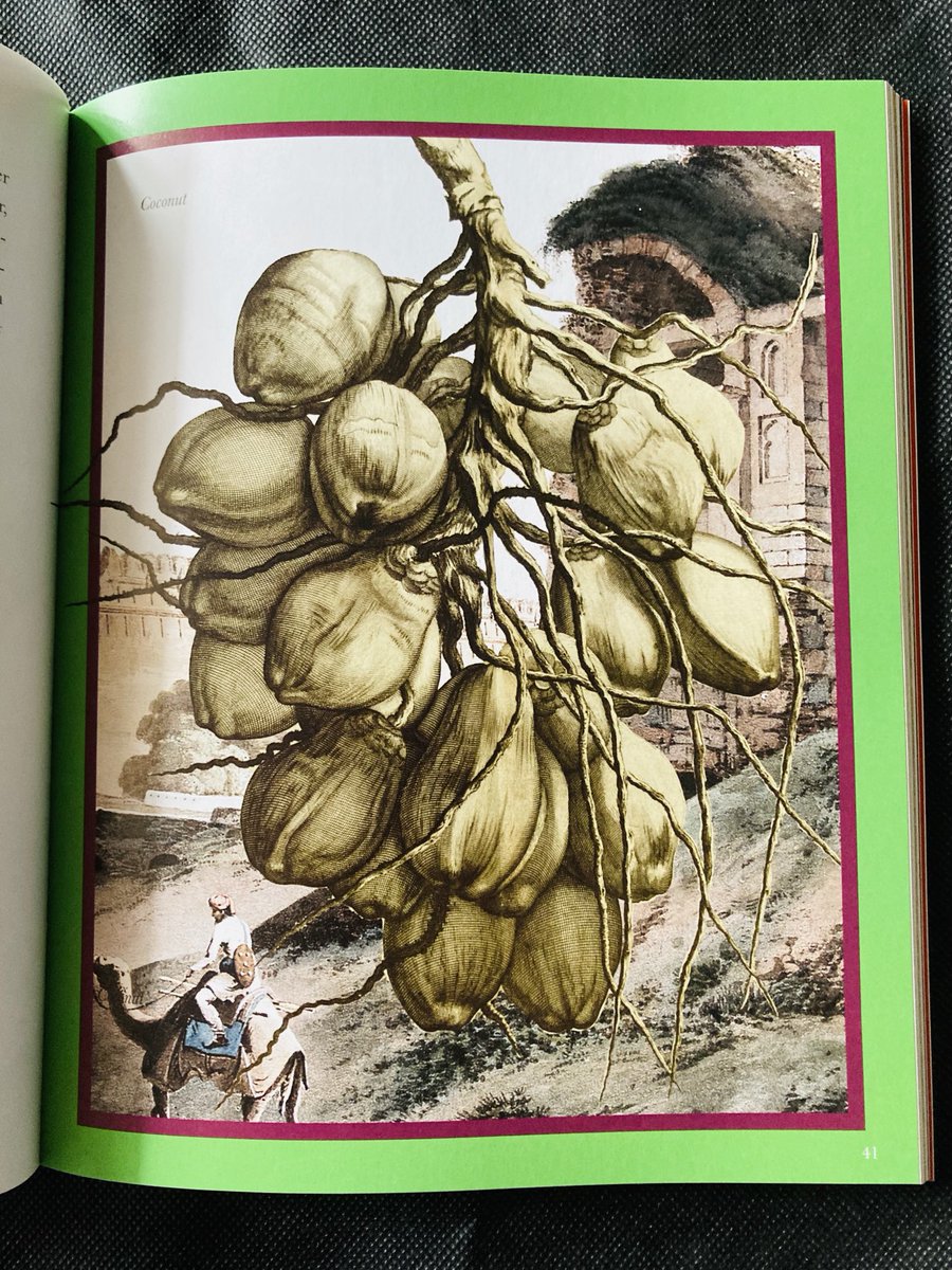I wrote about the British origins of curry powder for ⁦⁦@eatenmag⁩ and didn’t know it would be turned into such a sumptuously designed 16-page spread with 17th and 19th century illustrations. Thank you, Emelyn Rude, for commissioning and editing - I’m thrilled with it!
