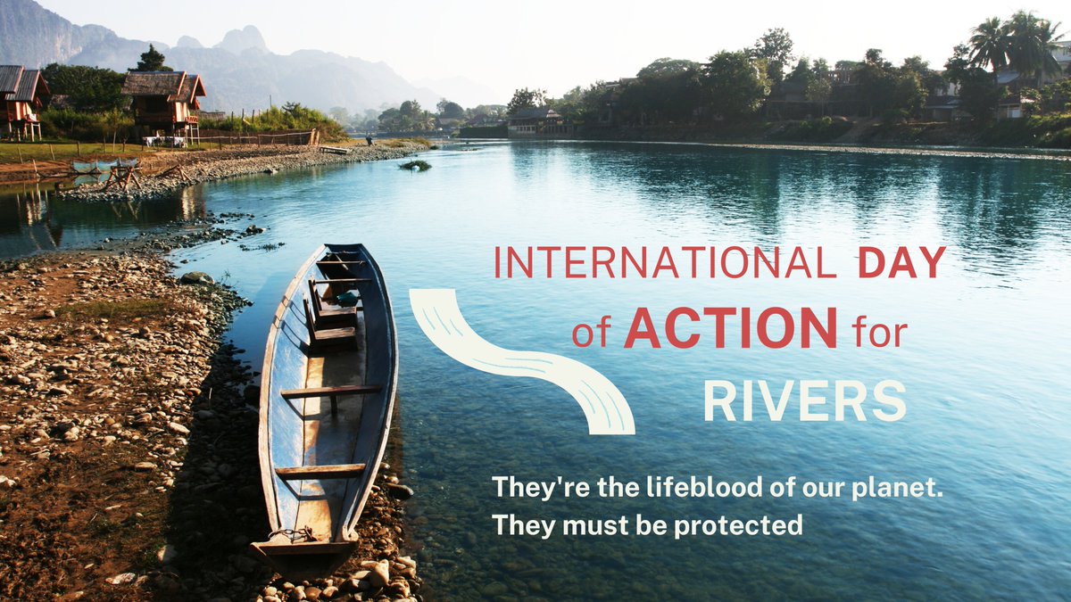 Today is International Day of Action for Rivers. 

Clean, healthy rivers are essential: 
for species, for the environment, for us 💧 

#DayofActionforRivers #HealthyRivers #HealthyRiversHealthyPeople #RiversUniteUs #Freshwater #Biodiversity #ProtectRivers